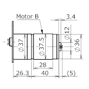 RP-WII Motor Typ B